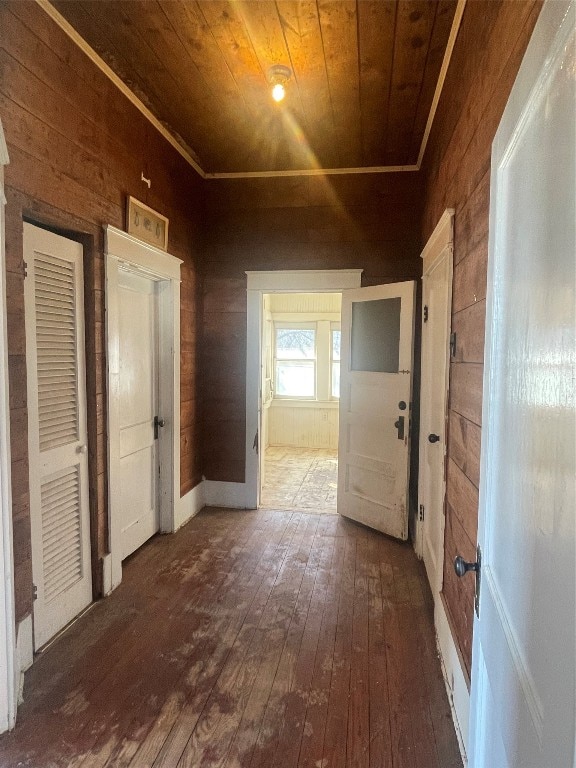 corridor with wooden walls, wood ceiling, and dark hardwood / wood-style flooring