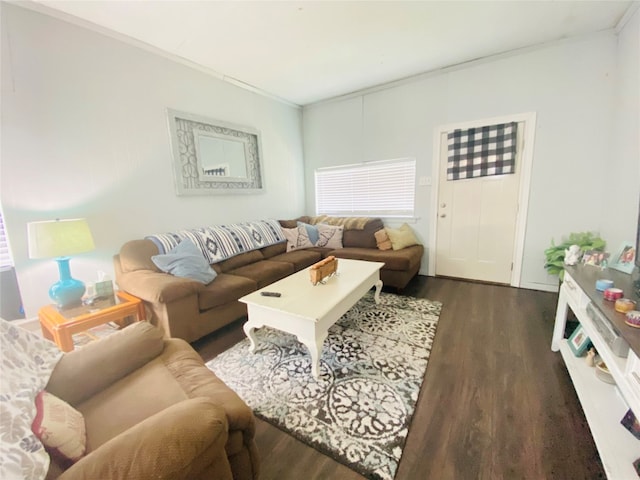 living room featuring dark wood-type flooring