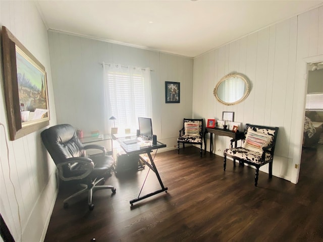 sitting room featuring dark hardwood / wood-style floors