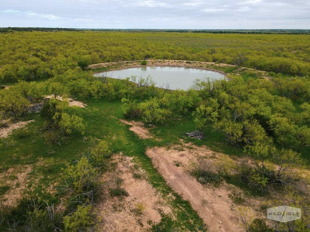 TBD Cr 210, Santa Anna TX, 76878 land for sale