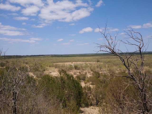 Listing photo 2 for TBD Cr 210, Santa Anna TX 76878