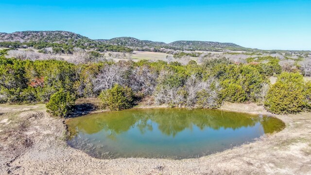 Listing photo 2 for 00COUNTYROAD1006 County Road 1006, Glen Rose TX 76043