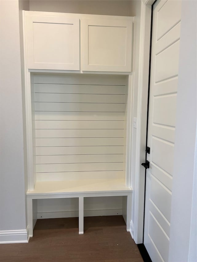 mudroom featuring dark wood-type flooring