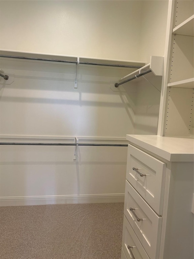 walk in closet featuring carpet flooring