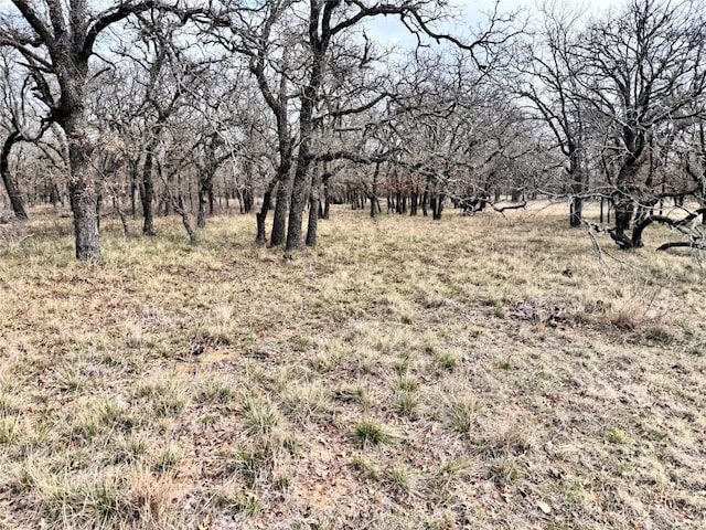 Listing photo 3 for TBDLOT14 Oak Bluff Cir, May TX 76857