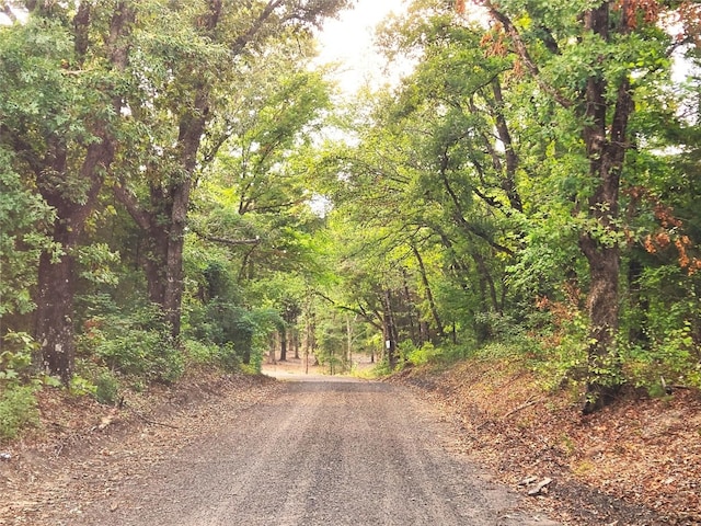 0 County Road 471, Larue, TX 75770