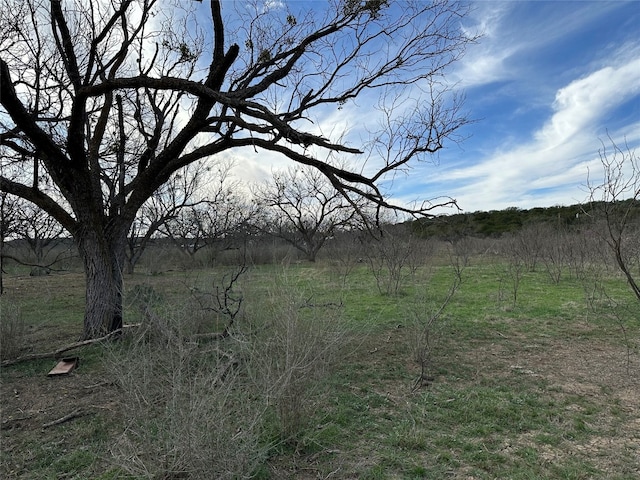 view of yard with a rural view