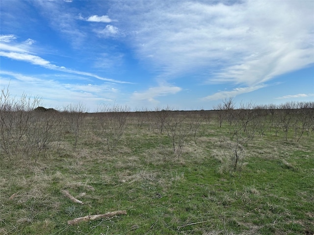 view of local wilderness featuring a rural view