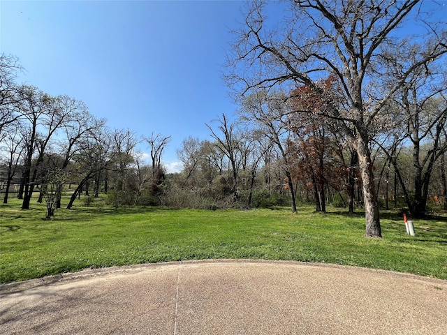 Listing photo 3 for TBD Stephanie Court, Kemp TX 75143