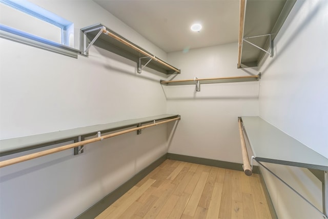 spacious closet featuring light wood-type flooring