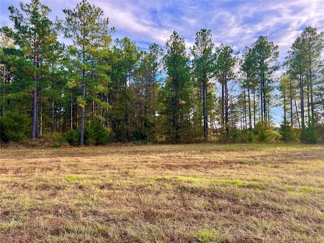 TBD 161 Highway S, Avinger TX, 75656 land for sale