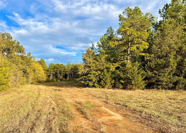 Listing photo 2 for TBD 161 Highway S, Avinger TX 75656