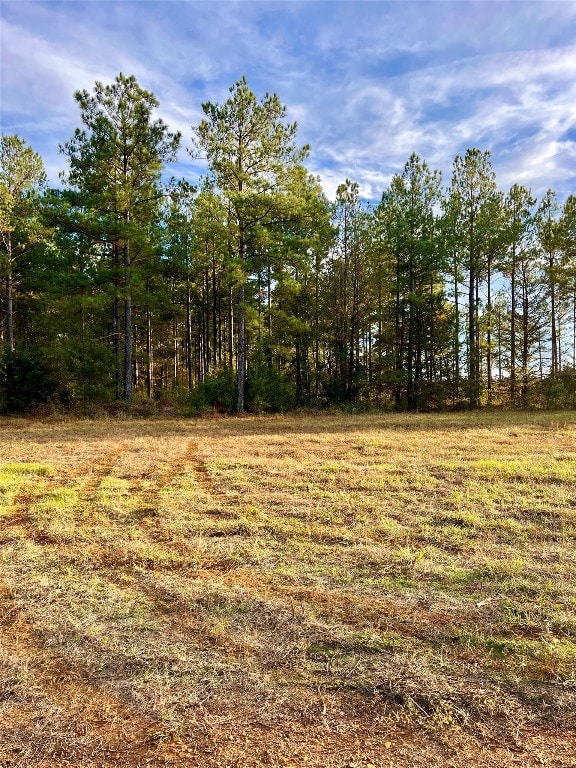 Listing photo 3 for TBD 161 Highway S, Avinger TX 75656