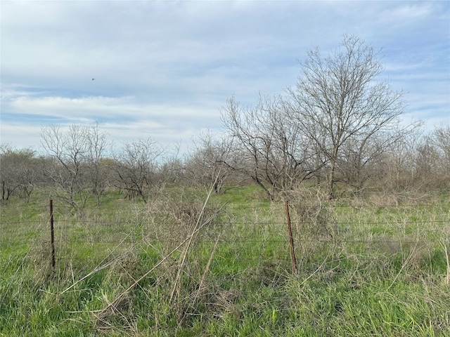 Listing photo 2 for Tract1C(16.69acres) Sw County Road 2360, Streetman TX 75859