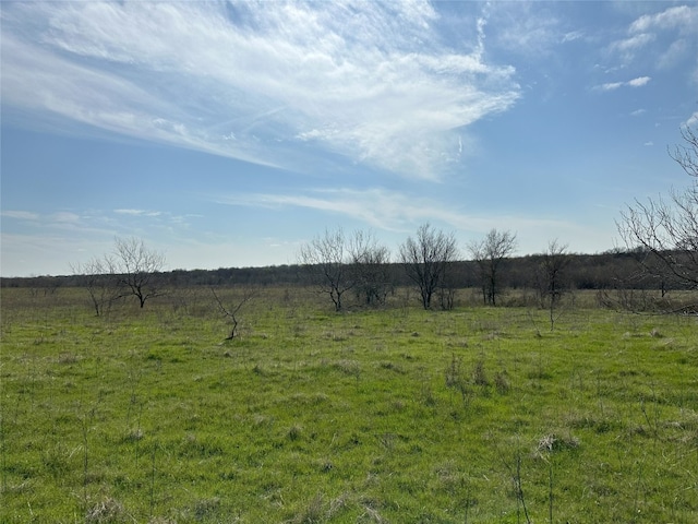 Listing photo 3 for Tract1C(16.69acres) Sw County Road 2360, Streetman TX 75859