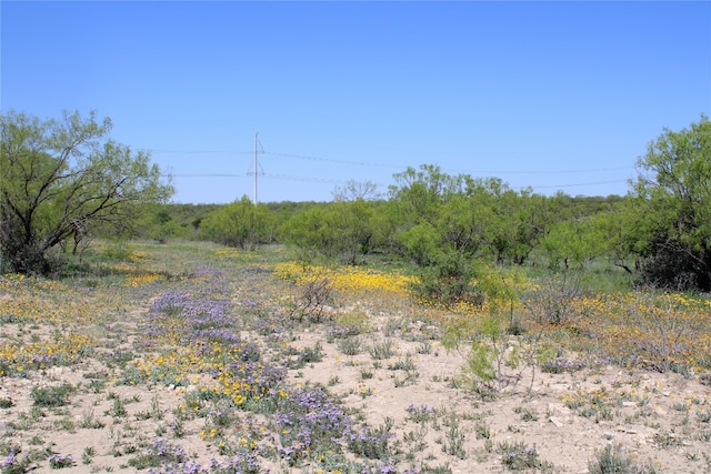 0 Fm 1929, Paint Rock TX, 76866 land for sale