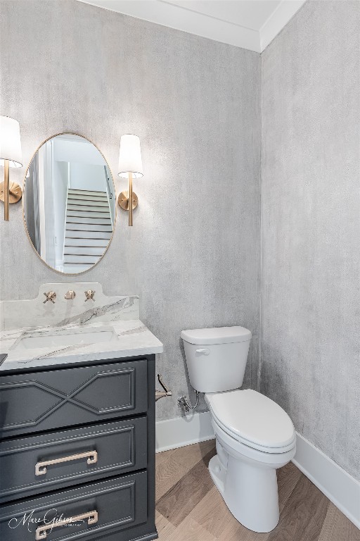 bathroom featuring toilet, large vanity, and wood-type flooring