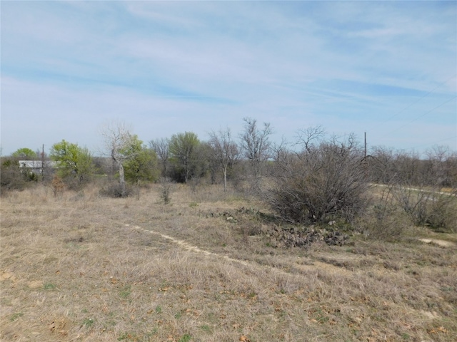 Listing photo 2 for TBD Fm 3003, Graham TX 76450