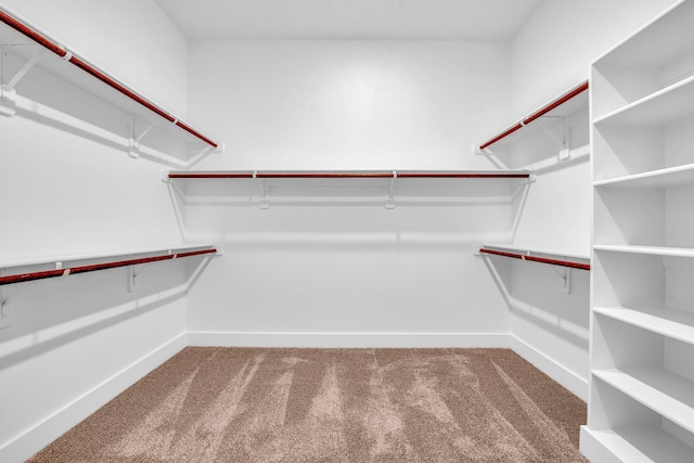 spacious closet featuring carpet floors