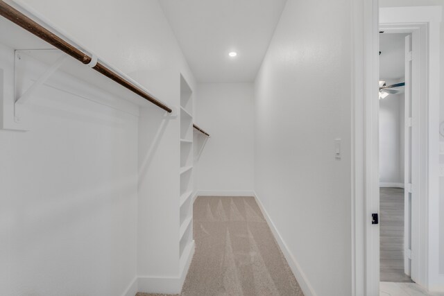 walk in closet with light carpet