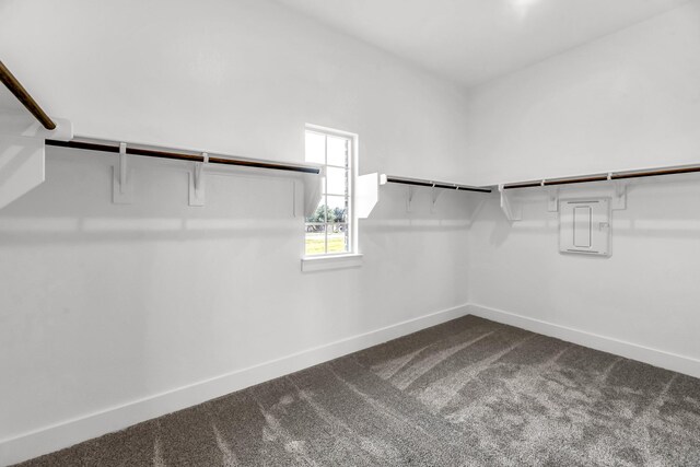 walk in closet with carpet flooring