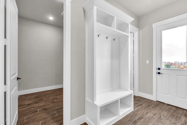 mudroom featuring dark wood-type flooring