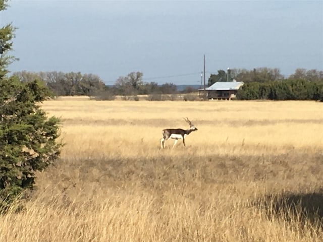 Listing photo 3 for 1301 County Road 2120, Meridian TX 76665