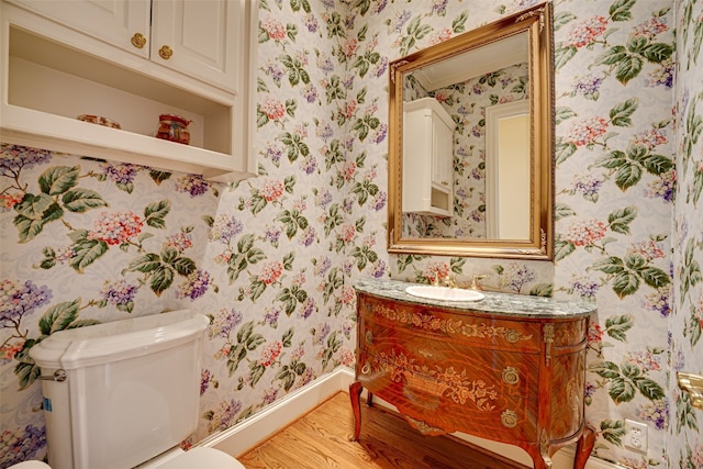 bathroom featuring toilet, vanity, and wood-type flooring