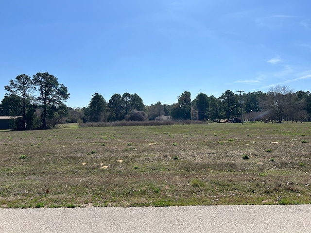 Listing photo 3 for LOT23 Pine Ridge Ct, Athens TX 75752