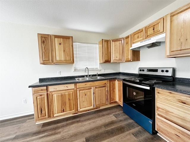 kitchen with sink, stainless steel range with electric stovetop, and dark hardwood / wood-style flooring