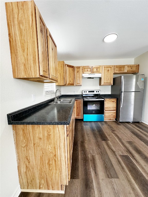 kitchen with stainless steel appliances, sink, and dark hardwood / wood-style flooring