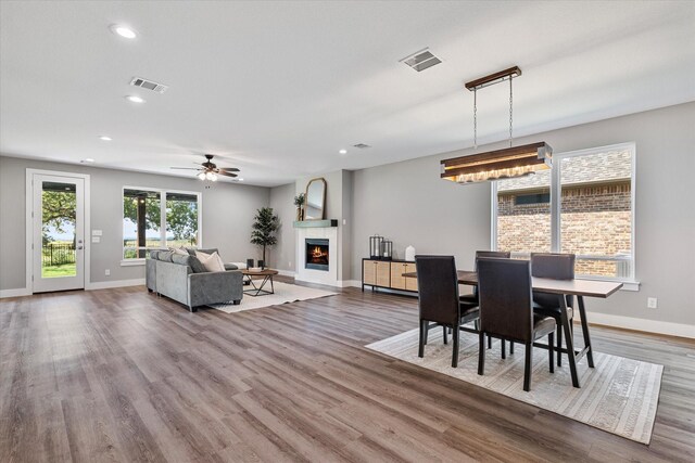 dining room with ceiling fan and hardwood / wood-style floors