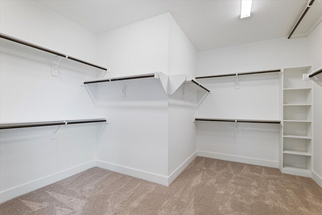 spacious closet with light carpet