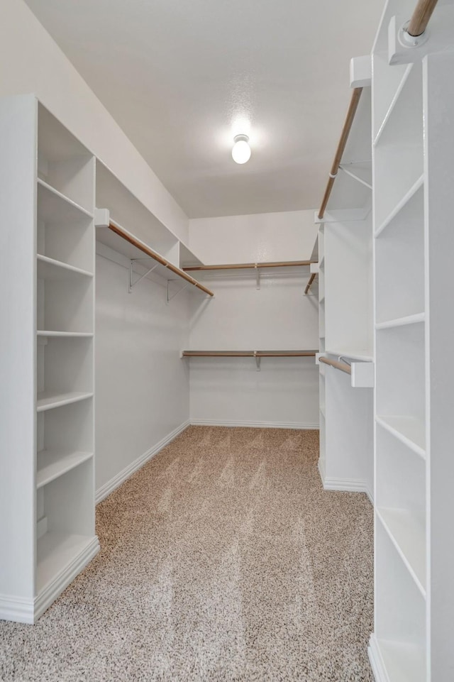 spacious closet featuring light colored carpet