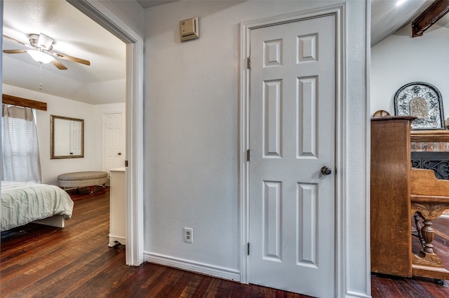 hall featuring dark wood-type flooring