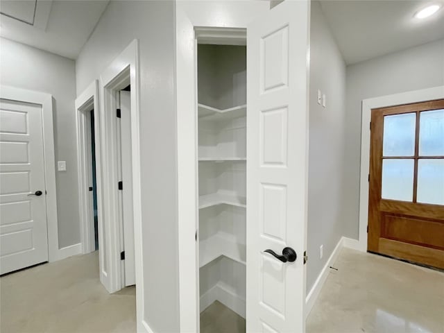 view of closet