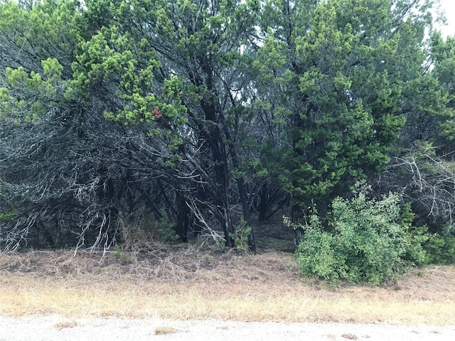 25060 Southhill Dr, Whitney TX, 76692 land for sale