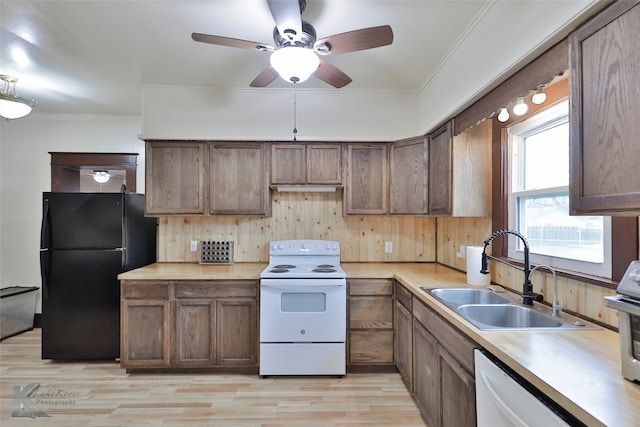 kitchen featuring crown molding, white appliances, light wood-type flooring, ceiling fan, and sink