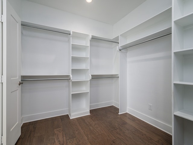 walk in closet with dark wood-type flooring