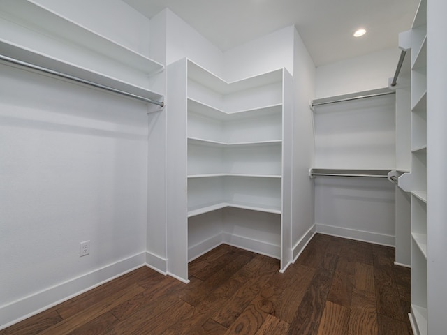 walk in closet with dark hardwood / wood-style flooring