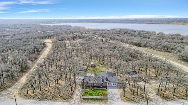 drone / aerial view with a water view and a rural view