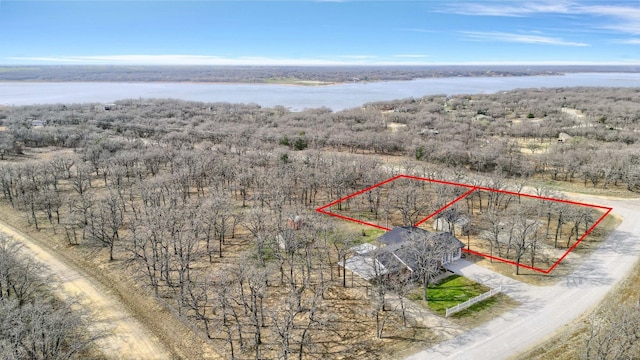 birds eye view of property with a rural view and a water view