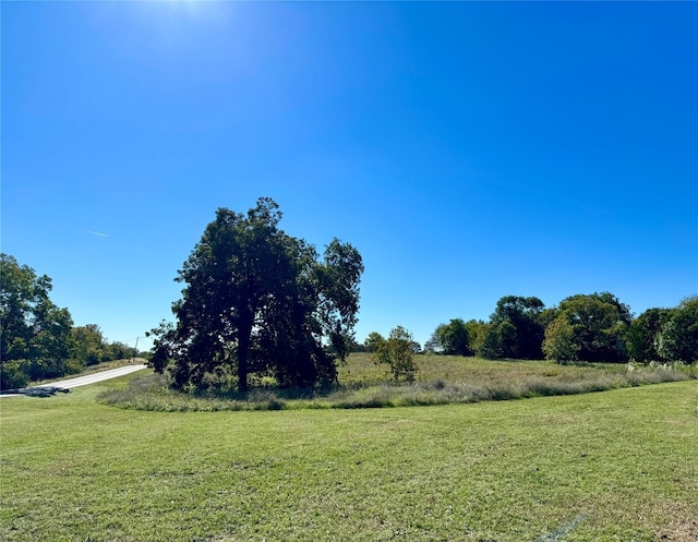 view of yard featuring a rural view