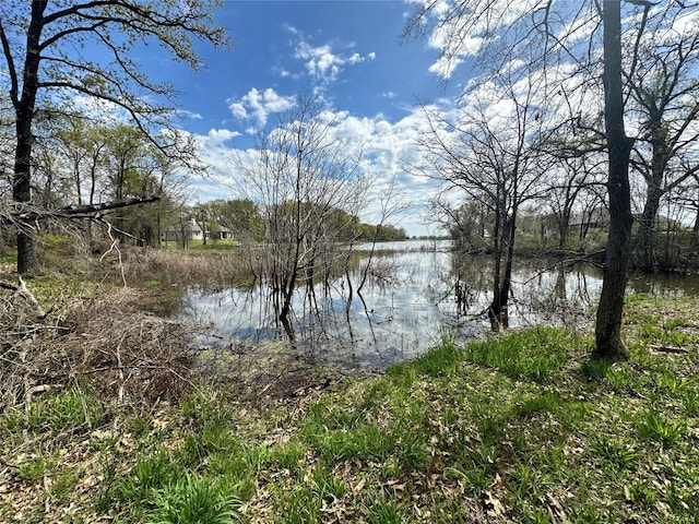 Listing photo 2 for LOT333 Spur 294, Corsicana TX 75109