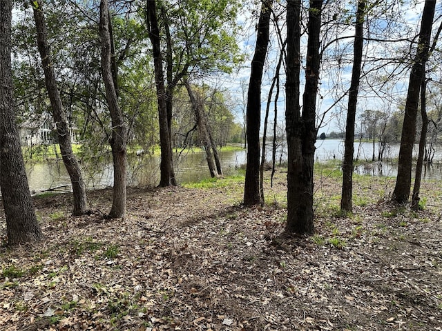 Listing photo 3 for LOT333 Spur 294, Corsicana TX 75109