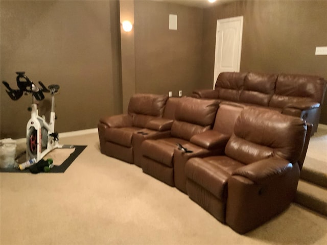 view of carpeted home theater