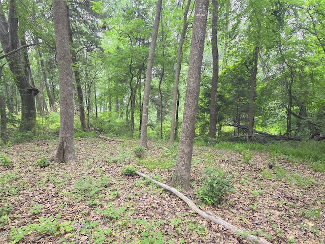 LOT618 Spur 294, Corsicana, TX 75109
