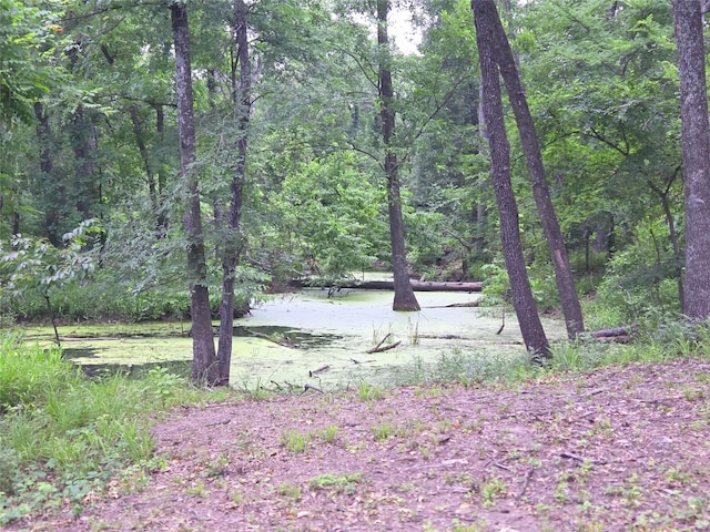 LOT618 Spur 294, Corsicana, TX 75109