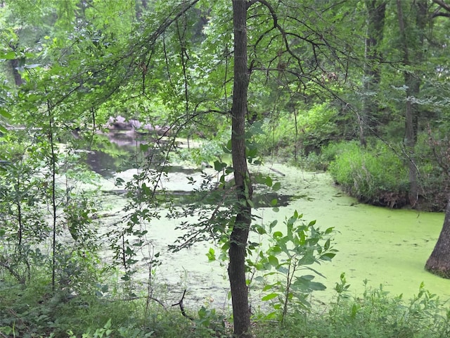 LOT618 Spur 294, Corsicana, TX 75109