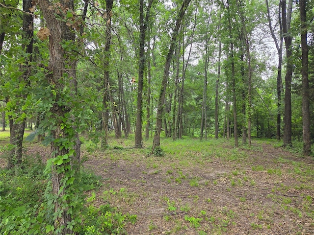 LOT618 Spur 294, Corsicana, TX 75109